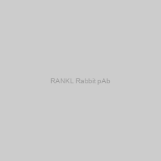 Image of RANKL Rabbit pAb